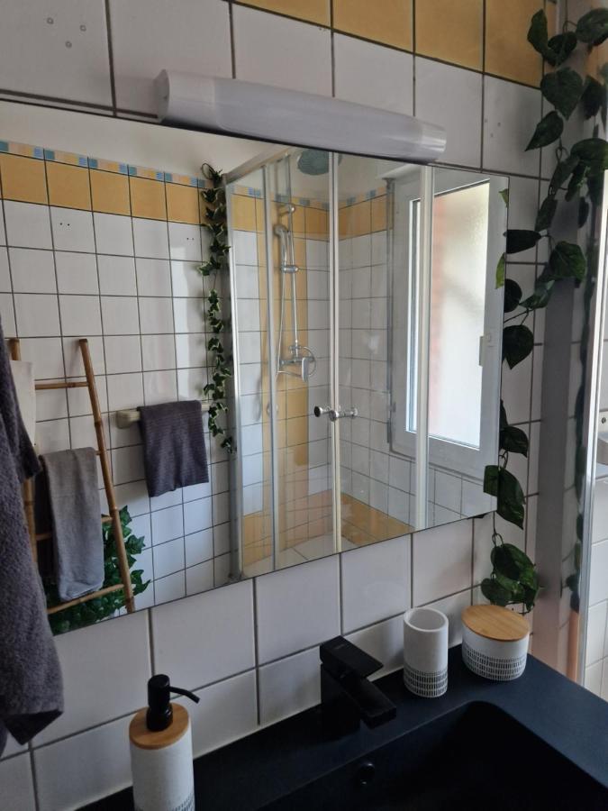 Antoine, Madamedemconciergerie Apartment Reims Ngoại thất bức ảnh