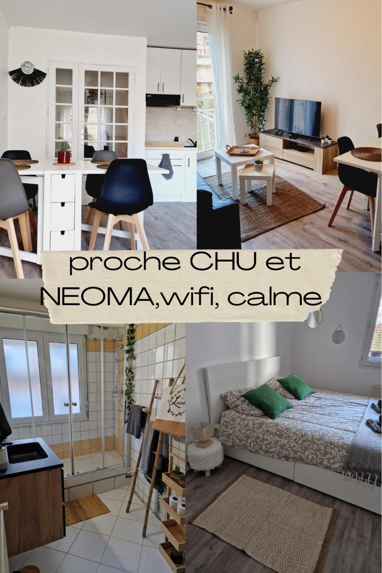 Antoine, Madamedemconciergerie Apartment Reims Ngoại thất bức ảnh